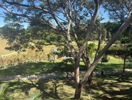 Terreno, 250 m² - Foto 6