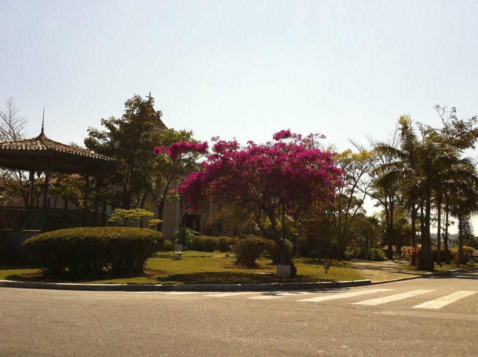 Terreno, 360 m² - Foto 4