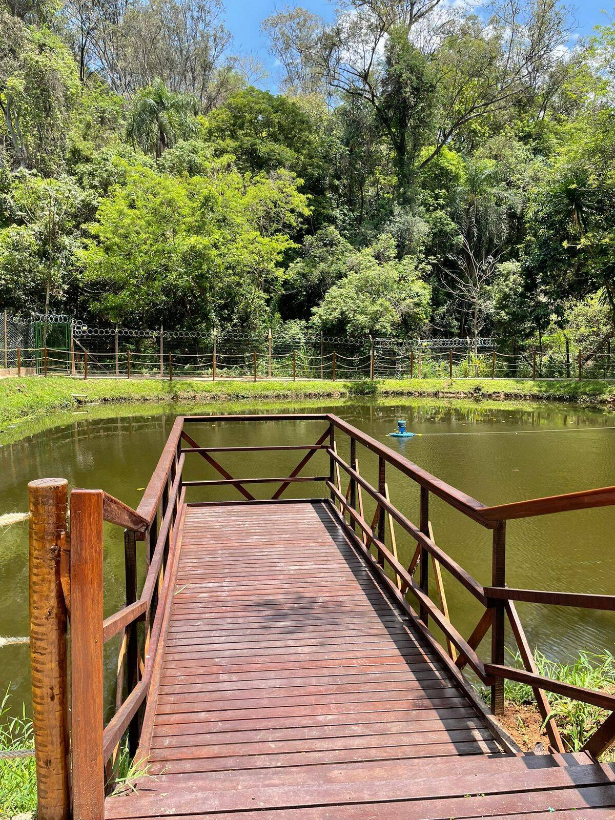 Apartamento, 2 quartos, 55 m² - Foto 27